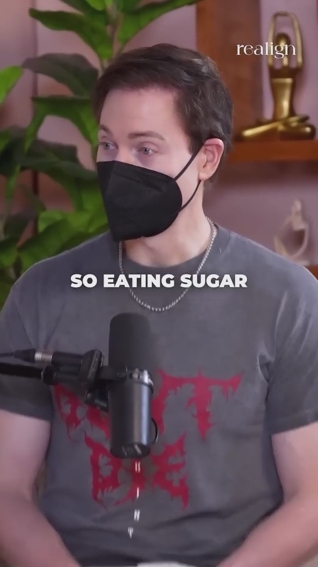 Monk Fruit Powder Sugar | 0 Erythritol, 100% Natural | Monk Fruit + Allulose